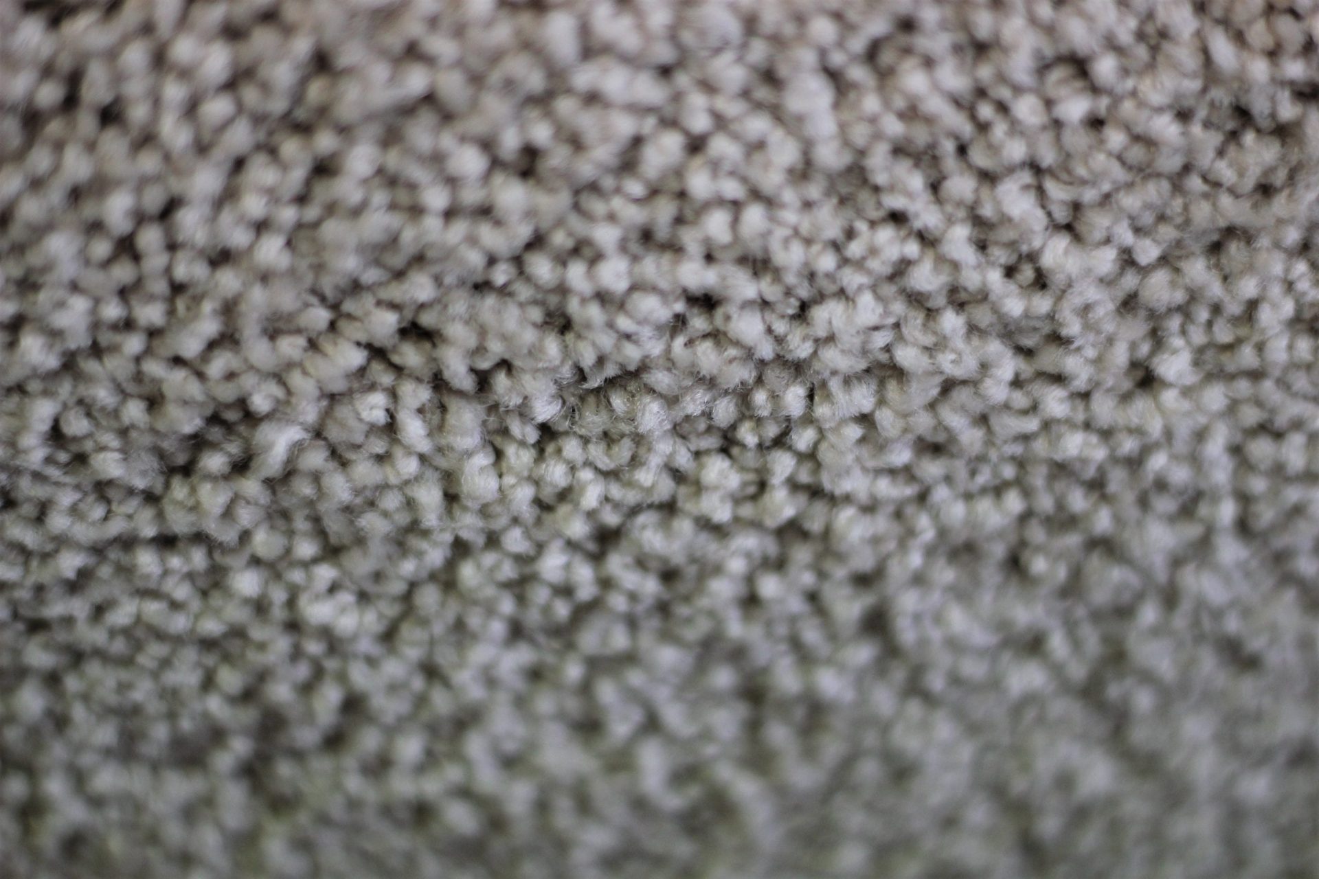 cut pile twist carpeting image